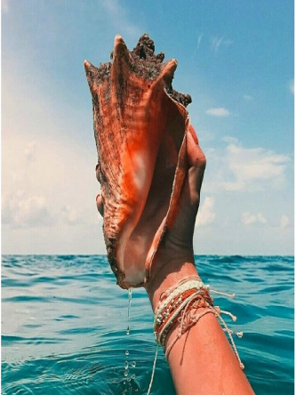Mano sujetando una concha frente al mar